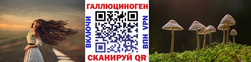 Галлюциногенные грибы прущие грибы  Купить где  Тарко-Сале 
